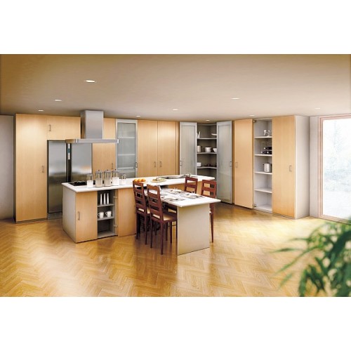 Lateral Swing Door System (For Medium Sized Doors)